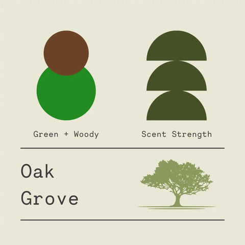 Rustic Oak Grove Scented Candle – Handcrafted Woodsy Aroma | Made in USA Sawdust & Embers  Apothecary Candles