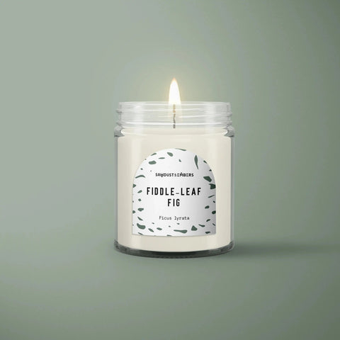 Fiddle-Leaf Fig Scented Candle – Handcrafted Botanical Aroma | Made in USA Sawdust & Embers  Botanica Candles