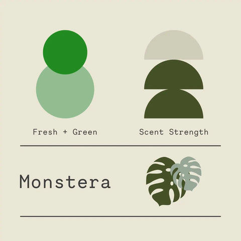 Monstera Scented Candle – Handcrafted Green Fragrance Jar | Made in USA Sawdust & Embers  Botanica Candles
