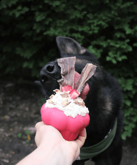 Durable Cupcake Rubber Dog Chew Toy – Treat Dispenser for Power Chewers | Made in USA SodaPup  Rubber Dog Toys