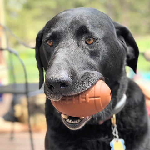 Durable Rubber Football Dog Treat Dispenser Toy – Chew Resistant | Made in USA SodaPup  Rubber Dog Toys