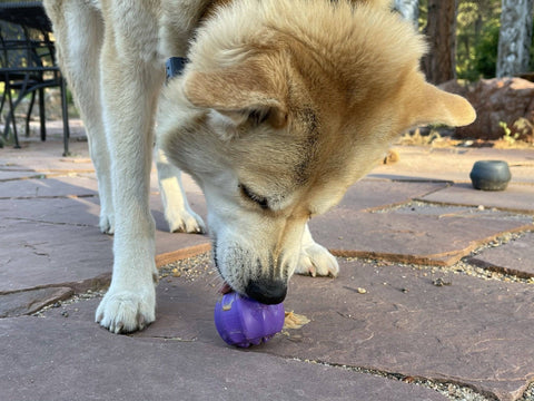 Durable Cross Bones Dog Chew Toy with Treat Pocket – Medium Power Chewers | Made in USA SodaPup  Rubber Dog Toys