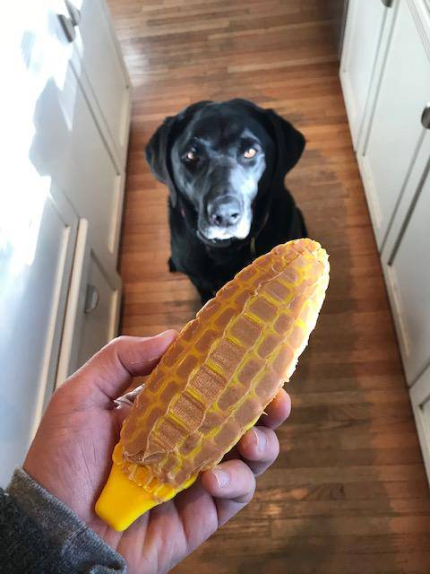 Corn on the Cob Nylon Dog Chew Toy – Extra Tough Durable Chewer Toy | Made in USA SodaPup  Nylon Dog Toys