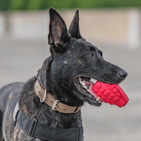 USA-K9 Grenade Durable Rubber Dog Chew Toy – Treat Dispenser – Made in USA SodaPup  Rubber Dog Toys