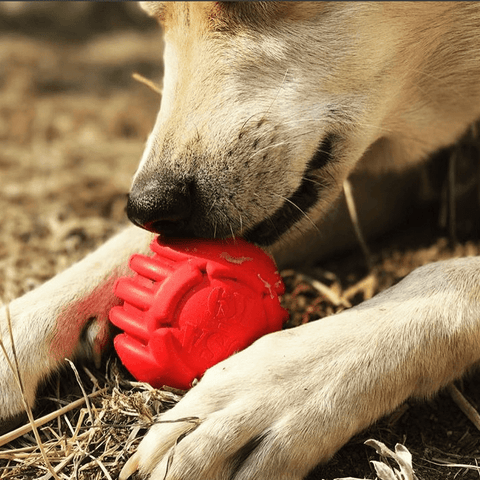 USA-K9 Durable Rubber Chew Ball – Tough Dog Toy for Power Chewers | Made in USA SodaPup  Rubber Dog Toys