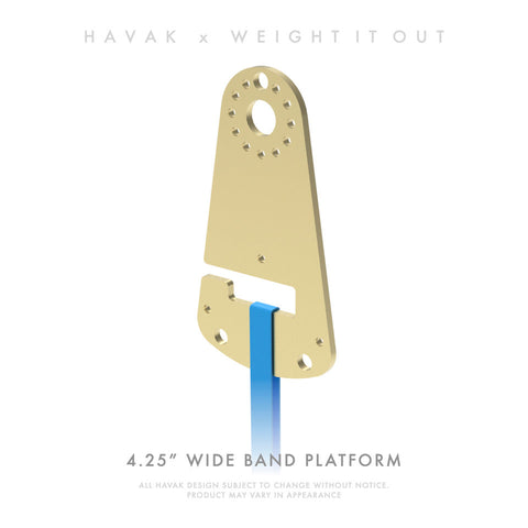 Havak Hook 15 Pound Solid Steel Weight Pair – Oscillating Resistance | Made in USA Weight It Out 