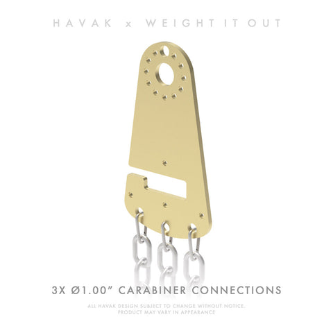 Havak Hook 15 Pound Solid Steel Weight Pair – Oscillating Resistance | Made in USA Weight It Out 