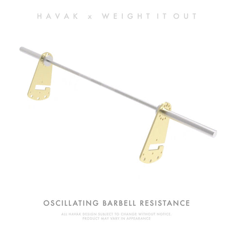 Havak Hook 15 Pound Solid Steel Weight Pair – Oscillating Resistance | Made in USA Weight It Out 