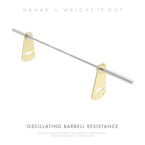 Havak Hook 15 Pound Solid Steel Weight Pair – Oscillating Resistance | Made in USA Weight It Out 