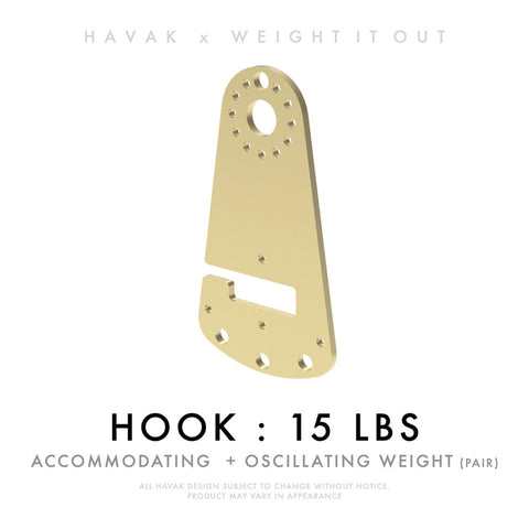 Havak Hook 15 Pound Solid Steel Weight Pair – Oscillating Resistance | Made in USA Weight It Out 