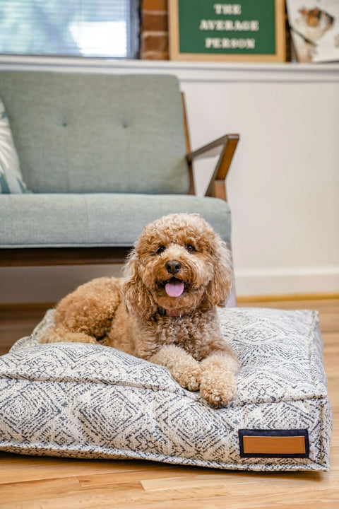 A curly-haired brown dog relaxes on The Houndry Lounger Pet Bed in Sapphire Spaniel in front of a mid-century modern sofa, looking at the camera with its tongue out. A framed sign can be seen in the background.