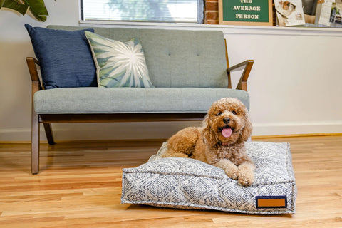A brown curly-haired dog relaxes on The Houndry’s Lounger Pet Bed in Sapphire Spaniel, placed on a wooden floor before a light blue couch with decorative pillows in a bright, cozy living room.